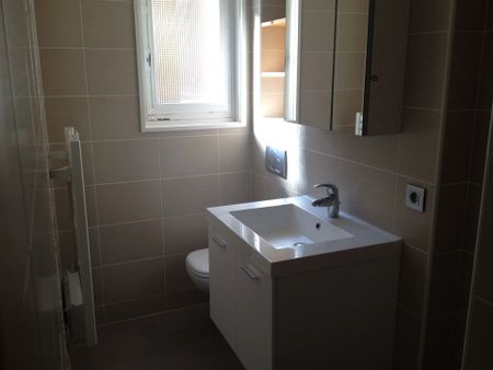Location Appartement 1 pièce 30m² SALLANCHES 74700 - Photo 4