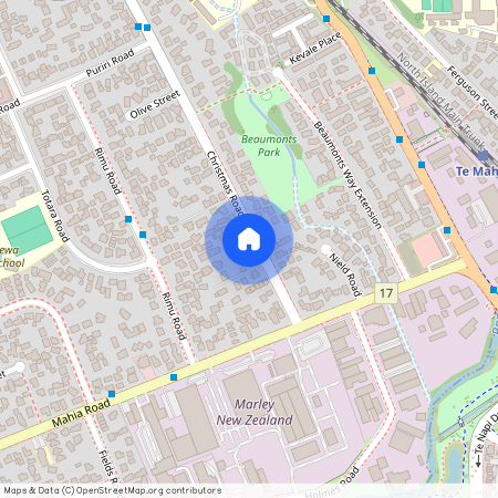 16 Christmas Road, Manurewa, Auckland