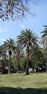 Petersham - Photo 3