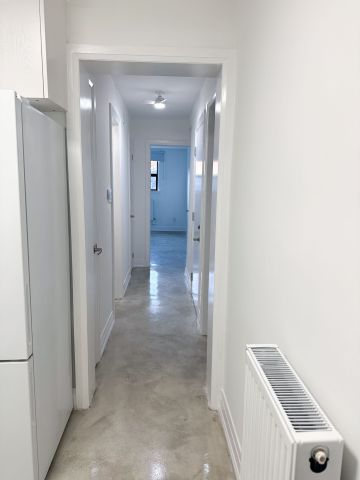 For Lease - 8 Carrington Avenue Unit# Lower, Toronto, Ontario - Photo 5