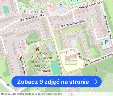 duża kawalerka z balkonem - Zdjęcie 1