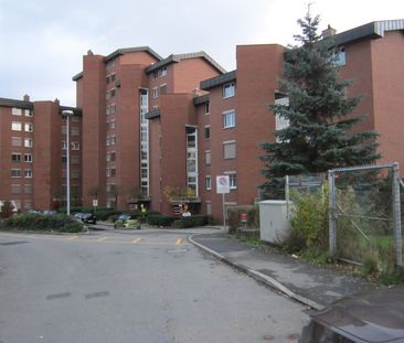 3 Zimmer, EG - Photo 6