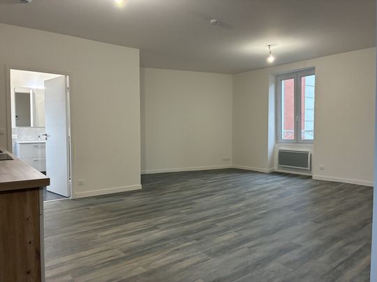 Location Appartement 2 pièces 48m² BRIOUDE 43100 - Photo 1