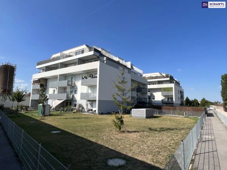 Helle 3-Zimmer Wohnung + Loggia im 2. Stock mit Blick auf den Schneeberg! AB SOFORT VERFÜGBAR! inkl. Küche, Parkettboden, Kellerabteil, uvm. - *Garagenanmietung möglich!* - Photo 4