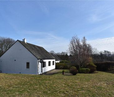 3 bedroom bungalow to rent - Photo 6