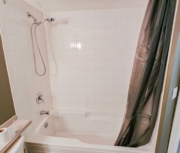 1 Br + Den Beautiful Condo For Rent In Lincoln Park: Heat & Water I... - Photo 3