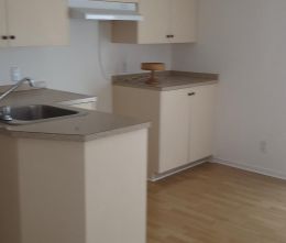 3 1/2 Chauffé/Éclairé/Déneigé + Wi-Fi - Photo 3