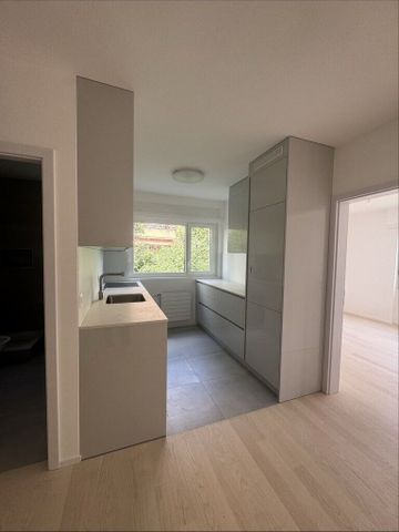 Beau 3.5 pcs complètement rénové avec vue dégagée sur lac - Photo 2