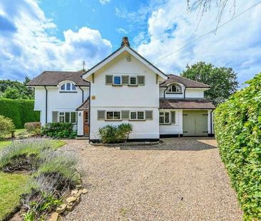 Sutton Place, Abinger Hammer, RH5 - Photo 6