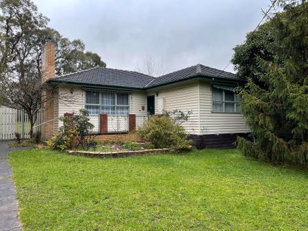 Located in Central Bayswater with Spacious Backyard - Photo 4