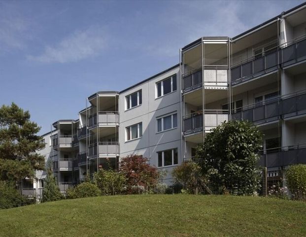 Your new home in Greifensee - Photo 1