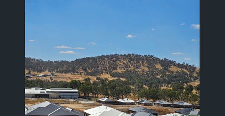Contemporary Living with Views in a Brand New Leneva Home - Photo 3