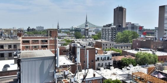 1 Bedroom - 1325 Saint-Andre Street, Montréal - Photo 3