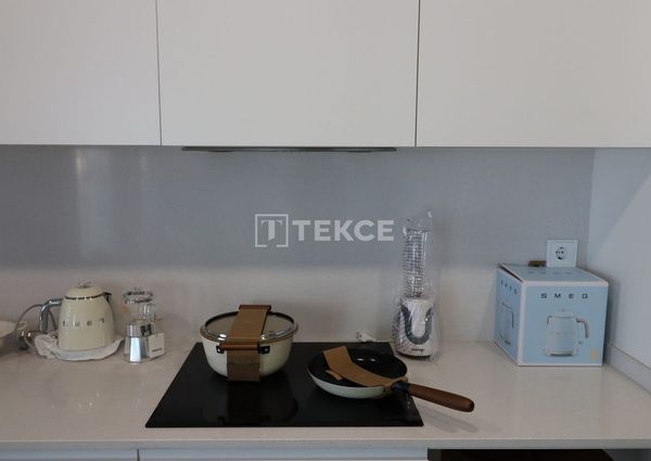 Badalona, La Morera, Barcelona, Catalonia 08918