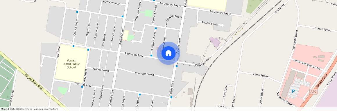 49 Patterson Street, Forbes 2871, New South Wales