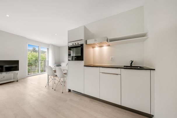 Modern and furnished apartment - Photo 1