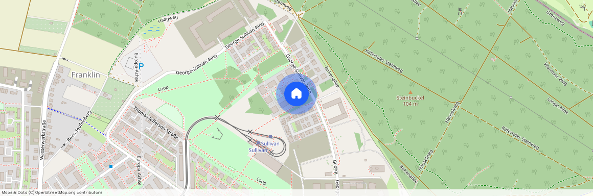 George-Sullivan-Ring 46, 68309, Mannheim
