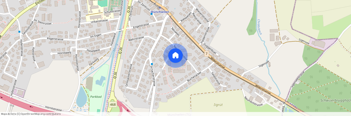 Neugrütstrasse 8, 9542 Münchwilen TG