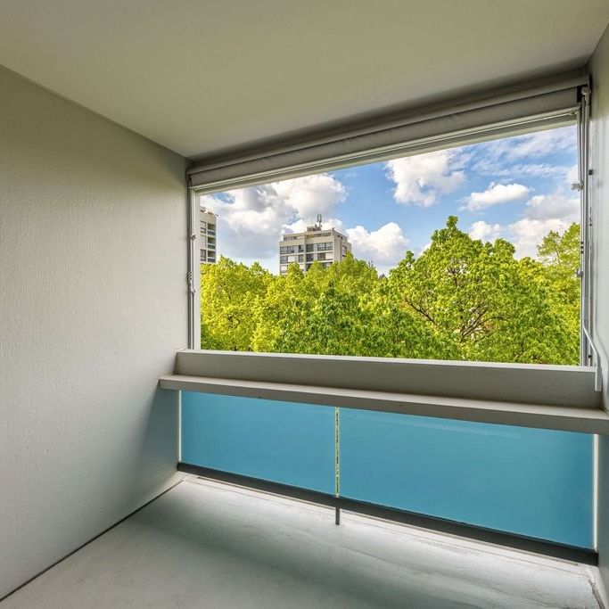 Schöne Aussicht auf dem Bruderholz - 1. & 24. Nettomiete geschenkt! - Foto 1