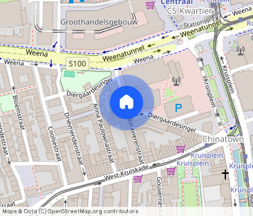 Te huur: Studio Diergaardesingel 87 A, kamer 4 in Rotterdam - Photo 1