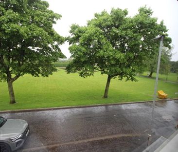 1a Wedderburn Gardens, Finaghy, Belfast, BT10 0FZ - Photo 4