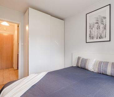 Dla miłośników spacerów po lesie - Zdjęcie 3