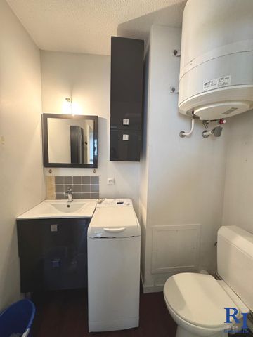 Location Appartement 1 pièce 17m² GRENOBLE 38100 - Photo 5