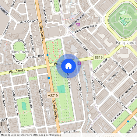 Cadogan Place, London, SW1X 9RX