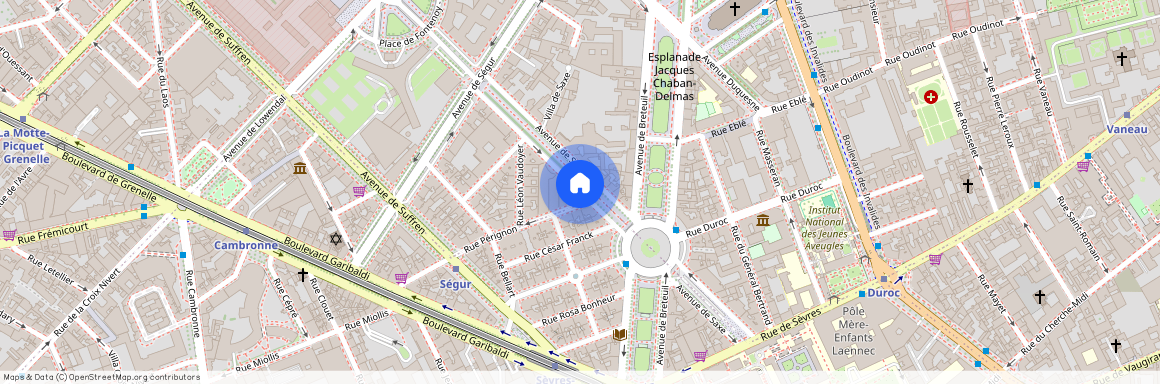 Avenue de Saxe, Francja, Paris