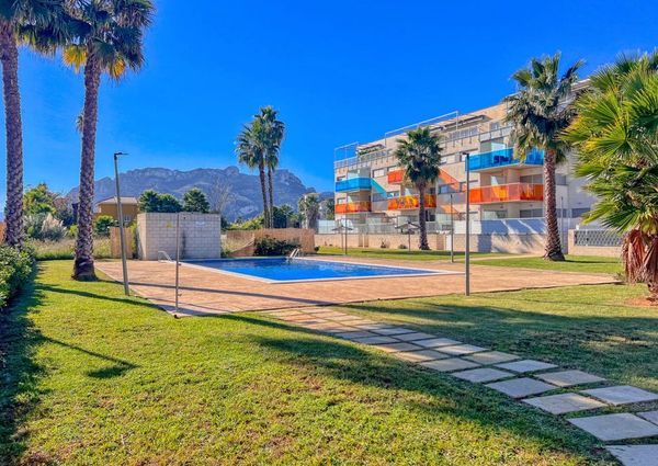 Alicante, Valencian Community 03700