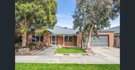 The Ultimate Entertainer - Photo 4