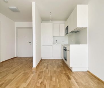 Moderner Wohnraum mit Gartenanteil: Helle 2-Zimmer-Wohnung - Foto 5