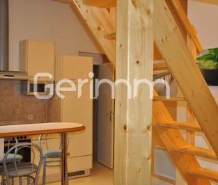 Location Appartement 1 pièce 23,88 m² - Photo 3