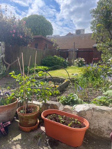 Room in a Shared House, Ravenshurst Avenue, NW4 - Photo 4