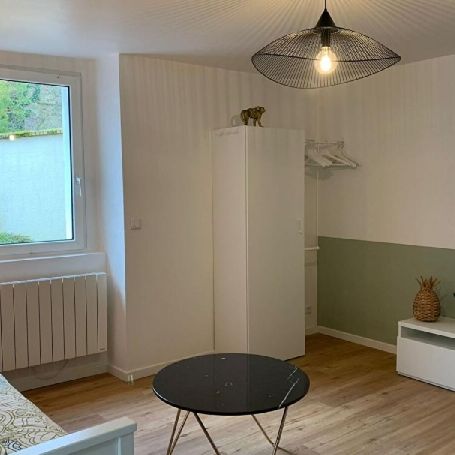 Location Appartement P1 Nantes - Photo 1