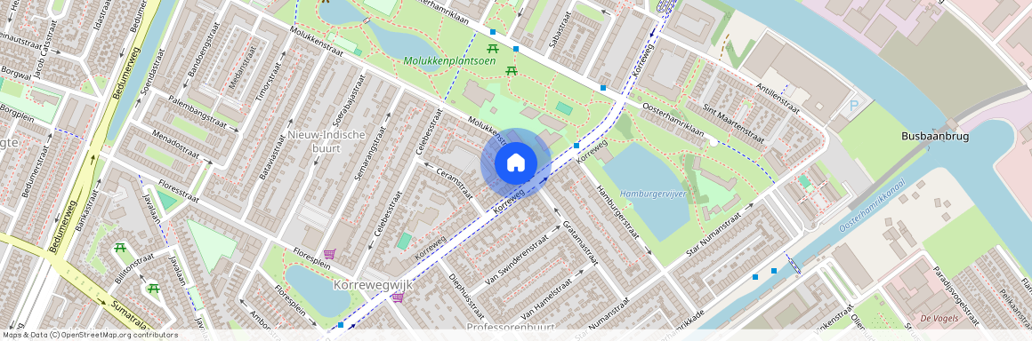 Molukkenstraat 4, 9715NV, Groningen