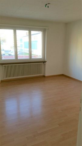 In the middle of the city and yet in the countryside - Photo 3