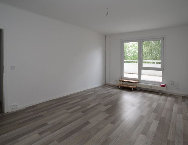 Schöne Lage am Stadtpark, großer Balkon – ID 1012 - Photo 1
