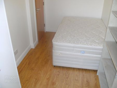 Apt 1, 53 University Street - Photo 2