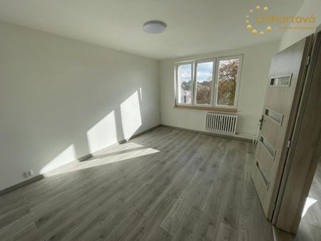 Pronájem bytu 1+1 38 m2 - Photo 3