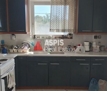 Μονοκατοικία για ενοικίαση Πόρτο Ράφτη (Μαρκόπουλο) - Photo 5