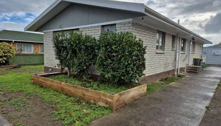 Fully Renovated on Lovelock - Photo 3