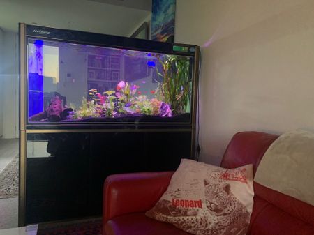 East Perth - Photo 2