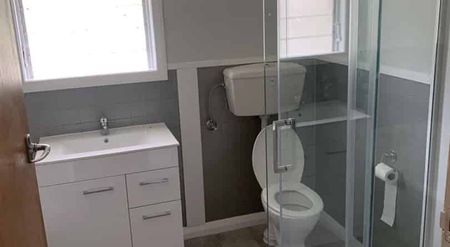 Four Bedroom House - Paeroa - Photo 5