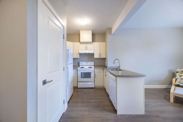 1000 Strawline Hill Street apartment — Coquitlam, BC (2-Bedroom) - 2 Bedroom - Photo 1