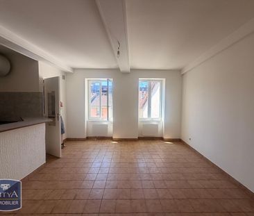 Location Appartement 1 pièce 26m² NEUVILLE SUR SAONE 69250 - Photo 1