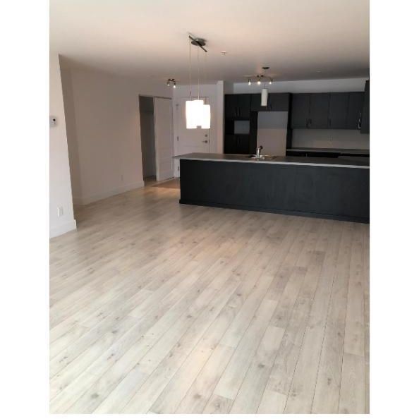 Grand 4 1/2 - L'Ancienne-Lorette, Dispo 1er novembre 2026 - Photo 1