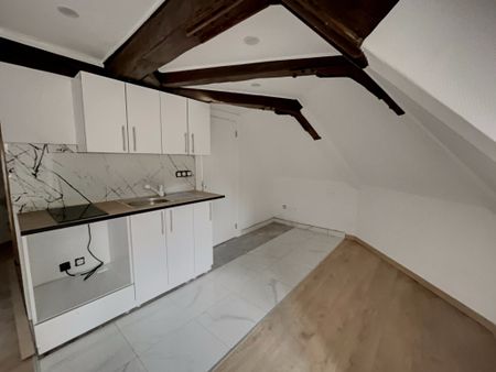 Location Appartement 1 pièce 22m² SELESTAT 67600 - Photo 2