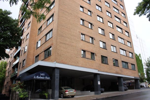 Appartement à louer à Montréal (Ville-Marie) - Photo 1