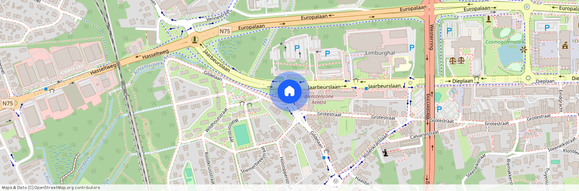 Gildelaan, 3600 Genk